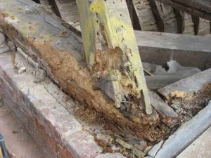 Rafter Tail Wood Rot